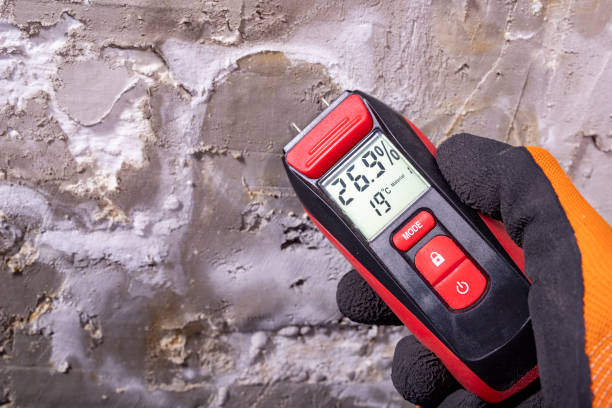 Best Home Mold Removal  in Temple, GA